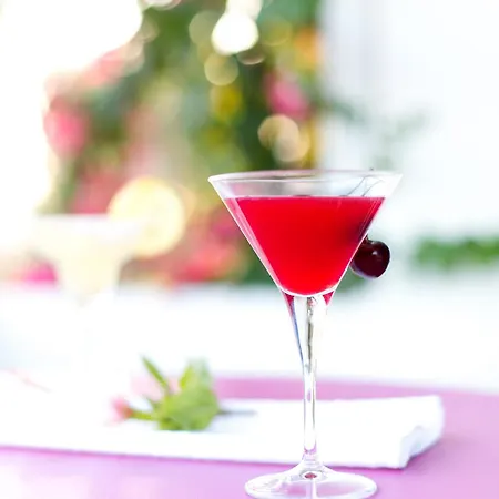 Seaside And Tours In Naxos, Greece Naxos City