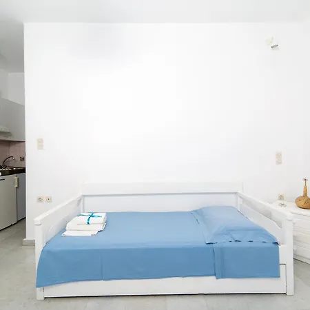 Apartment Seaside And Tours In Naxos, Greece Naxos City
