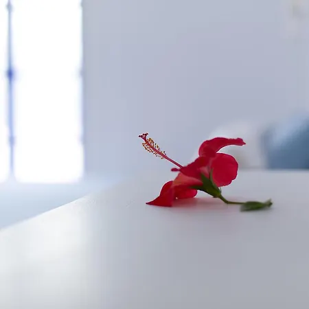 Seaside And Tours In Naxos, Greece *